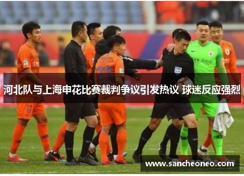 河北队与上海申花比赛裁判争议引发热议 球迷反应强烈