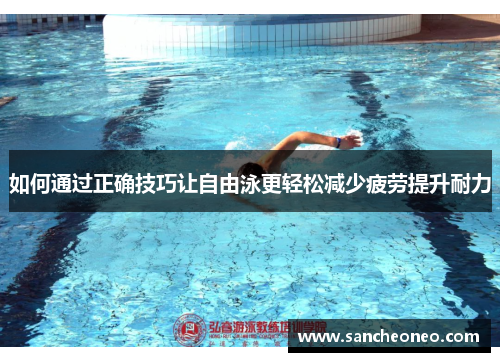 如何通过正确技巧让自由泳更轻松减少疲劳提升耐力