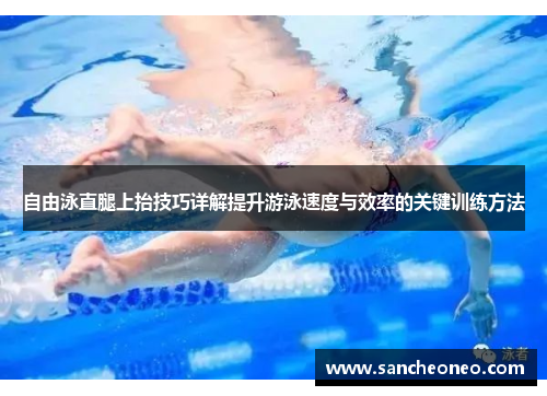 自由泳直腿上抬技巧详解提升游泳速度与效率的关键训练方法